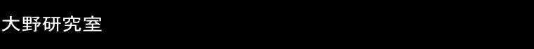 쌤